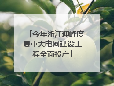 今年浙江迎峰度夏重大电网建设工程全面投产