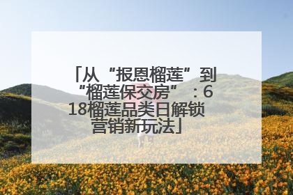 从“报恩榴莲”到“榴莲保交房”：618榴莲品类日解锁营销新玩法