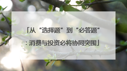 从“选择题”到“必答题”：消费与投资必将协同突围