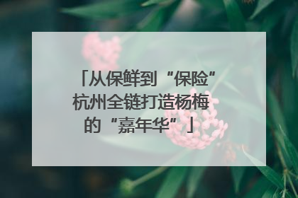 从保鲜到“保险” 杭州全链打造杨梅的“嘉年华”
