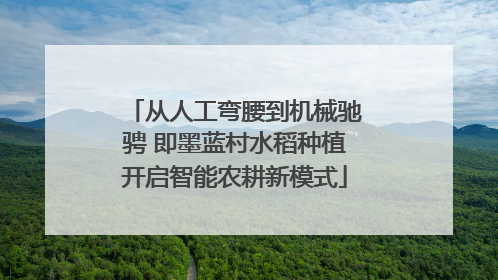 从人工弯腰到机械驰骋 即墨蓝村水稻种植开启智能农耕新模式