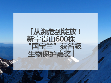 从濒危到绽放！新宁崀山600株“国宝兰”获省级生物保护嘉奖