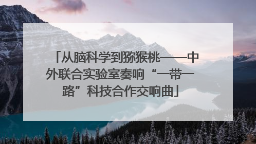 从脑科学到猕猴桃——中外联合实验室奏响“一带一路”科技合作交响曲