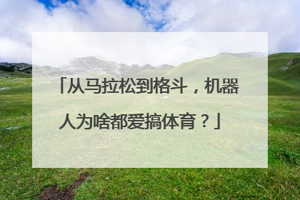 从马拉松到格斗，机器人为啥都爱搞体育？