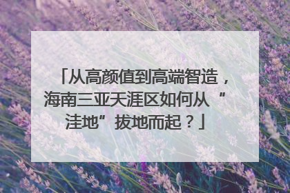 从高颜值到高端智造，海南三亚天涯区如何从“洼地”拔地而起？
