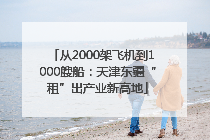 从2000架飞机到1000艘船：天津东疆“租”出产业新高地