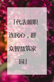 代表履职连民心，群众智慧筑家园