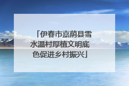 伊春市嘉荫县雪水温村厚植文明底色促进乡村振兴