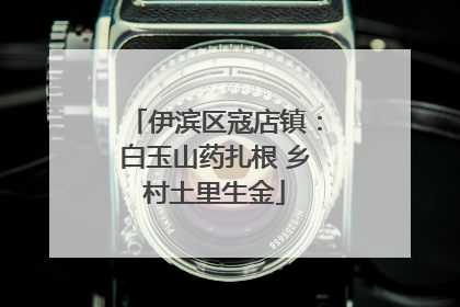 伊滨区寇店镇：白玉山药扎根 乡村土里生金