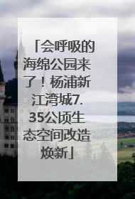 会呼吸的海绵公园来了！杨浦新江湾城7.35公顷生态空间改造焕新