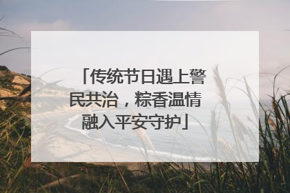 传统节日遇上警民共治，粽香温情融入平安守护