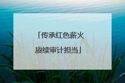传承红色薪火 赓续审计担当
