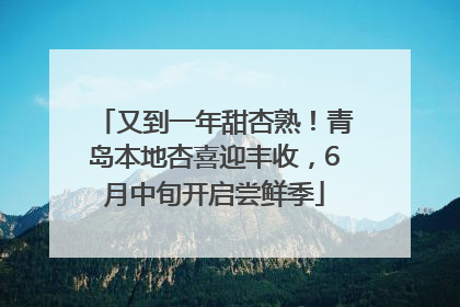 又到一年甜杏熟！青岛本地杏喜迎丰收，6月中旬开启尝鲜季