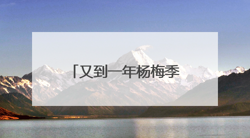 又到一年杨梅季！浙江杨梅赴沪参加世界级食品展