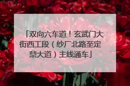 双向六车道！玄武门大街西工段（纱厂北路至定鼎大道）主线通车
