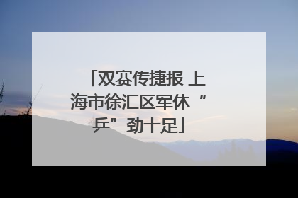 双赛传捷报 上海市徐汇区军休“乒”劲十足