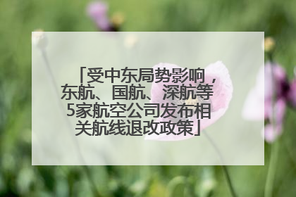受中东局势影响，东航、国航、深航等5家航空公司发布相关航线退改政策