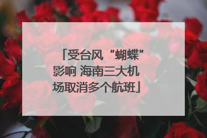 受台风“蝴蝶”影响 海南三大机场取消多个航班