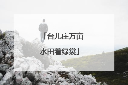 台儿庄万亩水田着绿裳