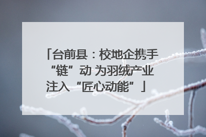 台前县：校地企携手“链”动 为羽绒产业注入“匠心动能”