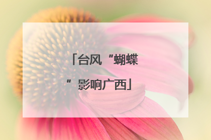 台风“蝴蝶”影响广西