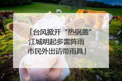 台风掀开“热锅盖” 江城明起多雷阵雨 市民外出请带雨具