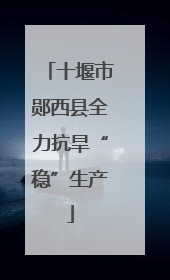 十堰市郧西县全力抗旱“稳”生产