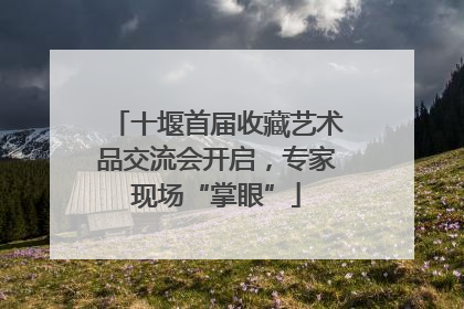 十堰首届收藏艺术品交流会开启，专家现场“掌眼”