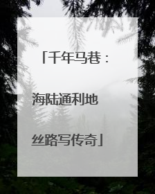 千年马巷：海陆通利地 丝路写传奇
