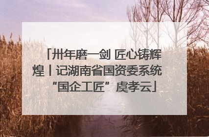 卅年磨一剑 匠心铸辉煌丨记湖南省国资委系统“国企工匠”虞孝云