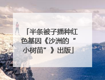 半条被子播种红色基因《沙洲的“小树苗”》出版