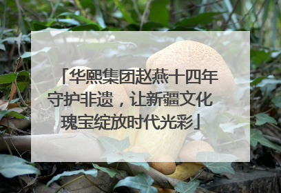 华熙集团赵燕十四年守护非遗，让新疆文化瑰宝绽放时代光彩