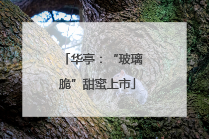 华亭：“玻璃脆”甜蜜上市