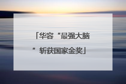 华容“最强大脑”斩获国家金奖