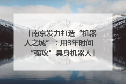 南京发力打造“机器人之城”：用3年时间“强攻”具身机器人