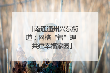 南通通州兴东街道：网格“智”理 共建幸福家园