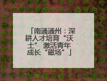南通通州：深耕人才培育“沃土” 激活青年成长“磁场”