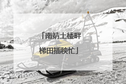 南靖土楼畔 梯田插秧忙