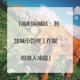 南阳宛城区：智慧城市管理工作取得喜人成绩
