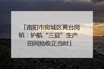 南阳市宛城区黄台岗镇：护航“三夏”生产 田间抢收正当时