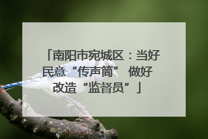南阳市宛城区：当好民意“传声筒” 做好改造“监督员”