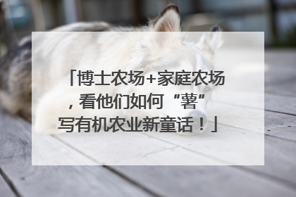 博士农场+家庭农场，看他们如何“薯” 写有机农业新童话！