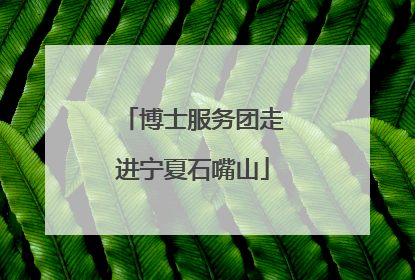 博士服务团走进宁夏石嘴山