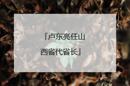 卢东亮任山西省代省长