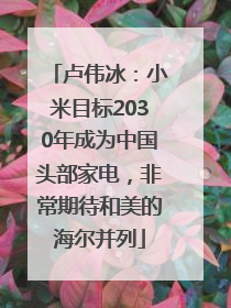 卢伟冰：小米目标2030年成为中国头部家电，非常期待和美的海尔并列