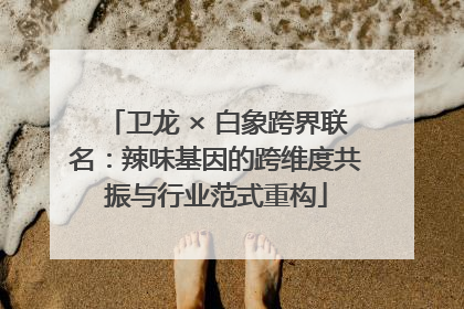 卫龙 × 白象跨界联名：辣味基因的跨维度共振与行业范式重构