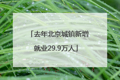 去年北京城镇新增就业29.9万人