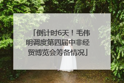 倒计时6天！毛伟明调度第四届中非经贸博览会筹备情况