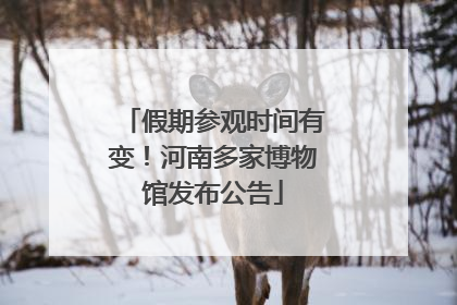 假期参观时间有变！河南多家博物馆发布公告