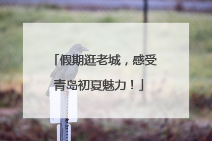 假期逛老城，感受青岛初夏魅力！